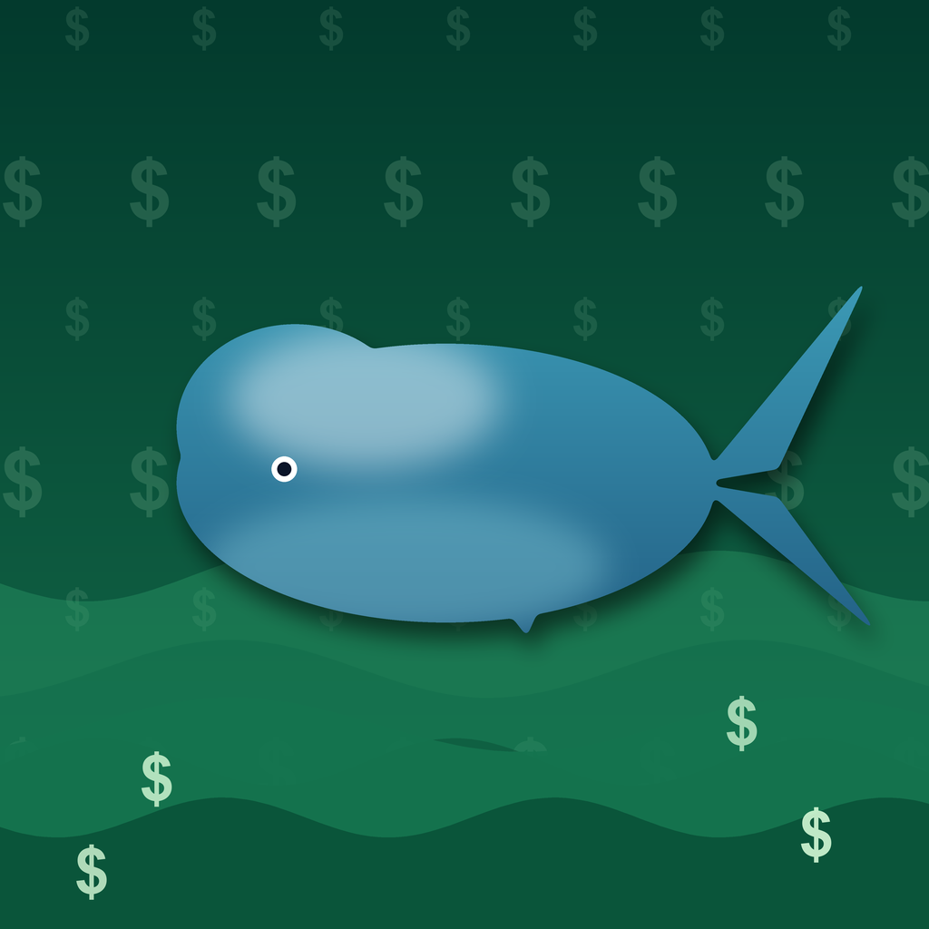 Whale Tracker app icon